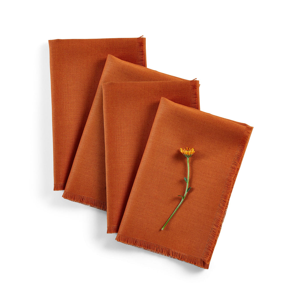 Fringe Napkins, Set of 4