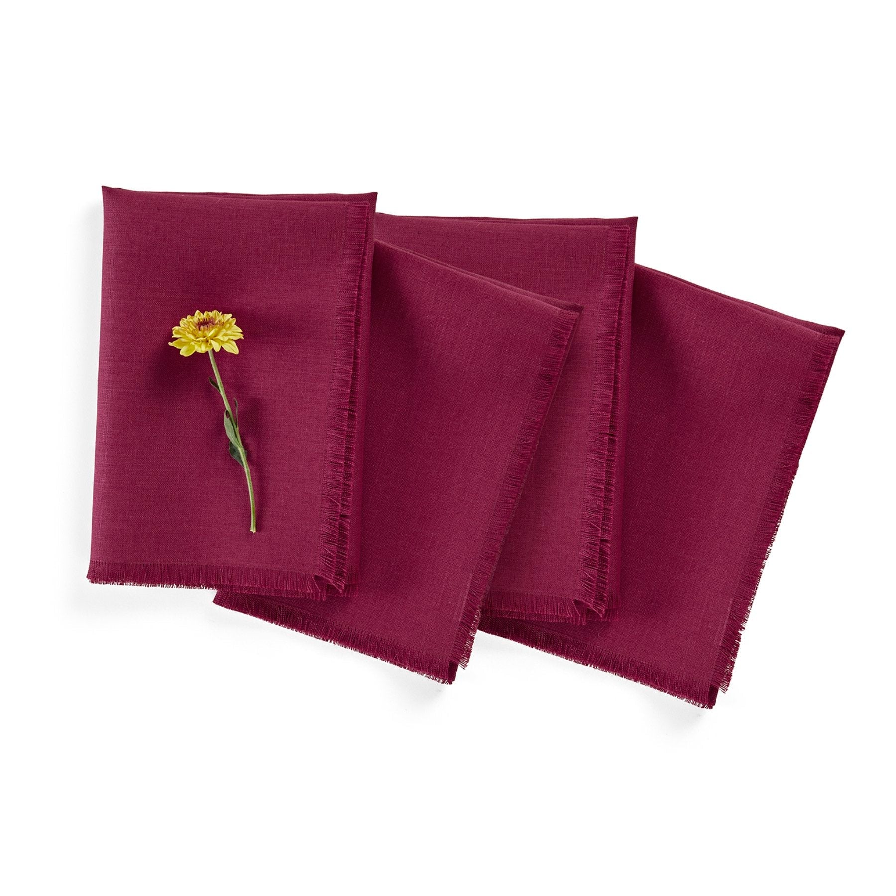 Fringe Napkins, Set of 4
