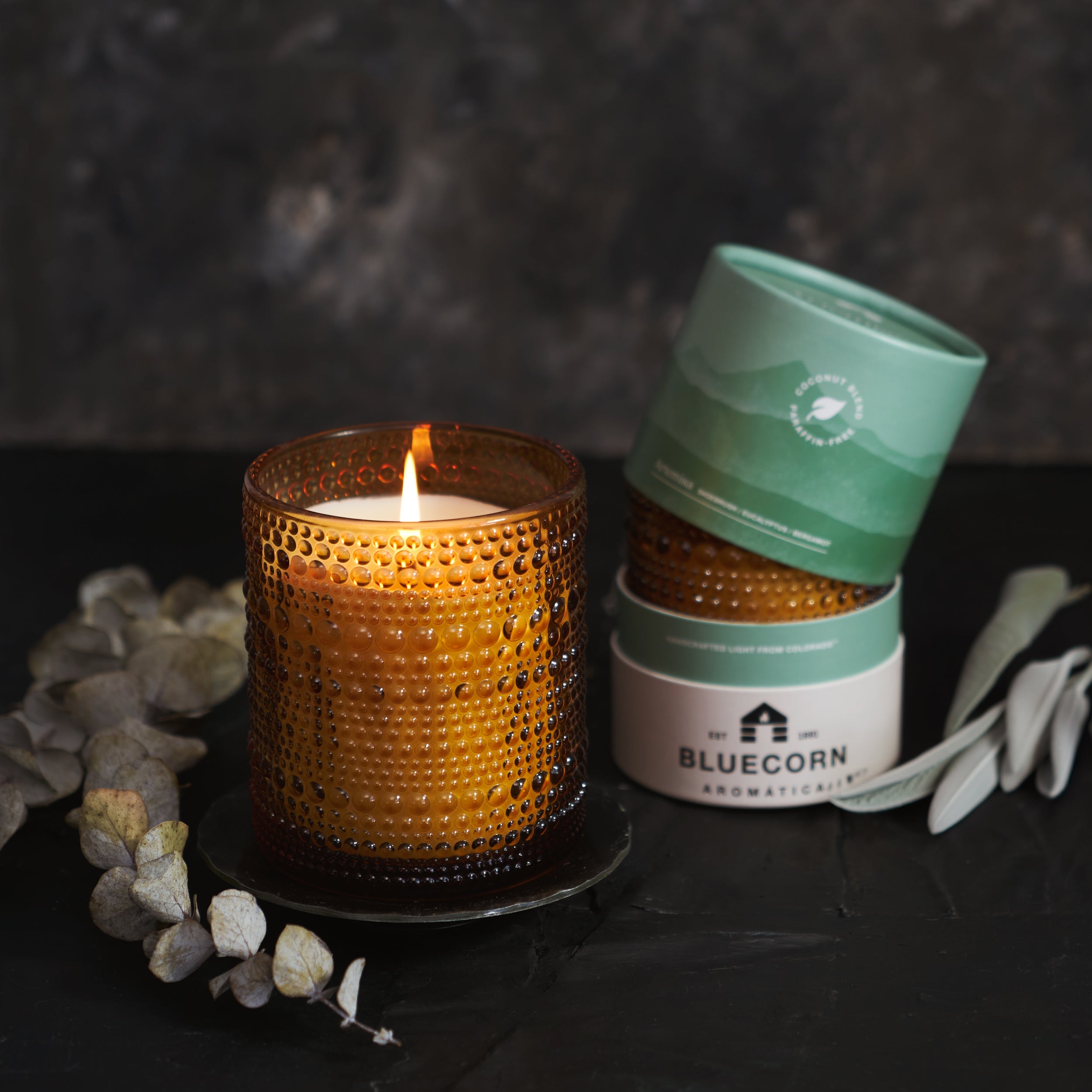 Fall Scented Candle Pair: Sage & Spice Aromática