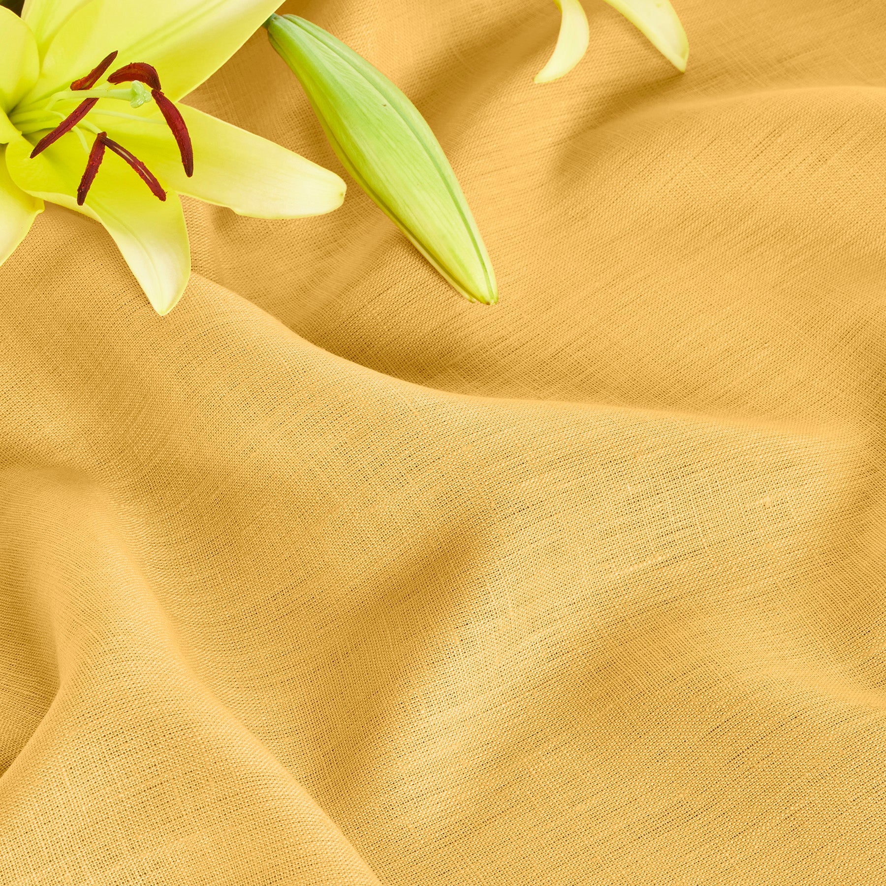 Fete Tablecloth