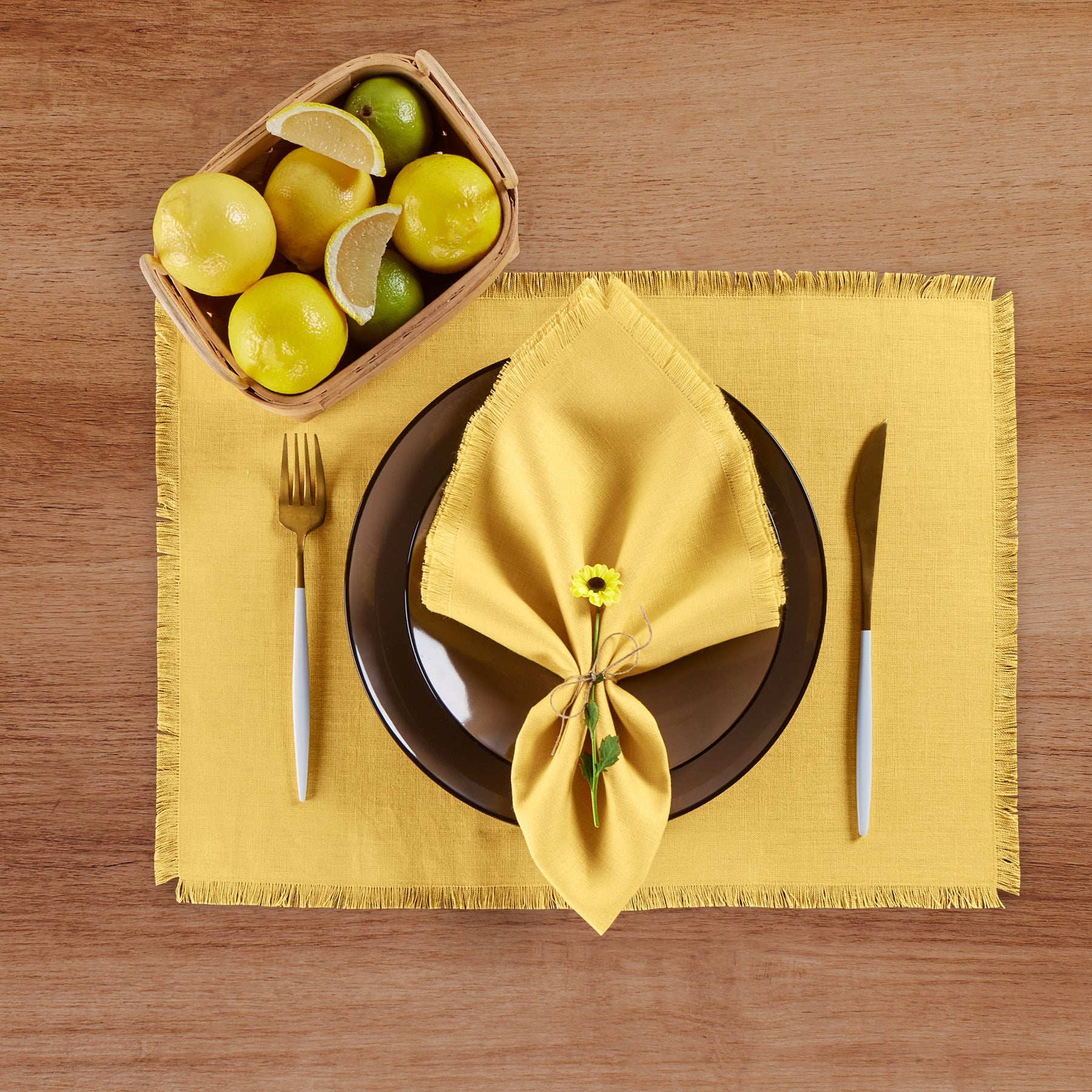 Fringe Placemats, Set of 4