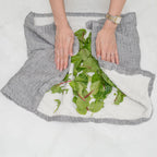Person holding a green leafy vegetable over a gray and white cloth on a white background
